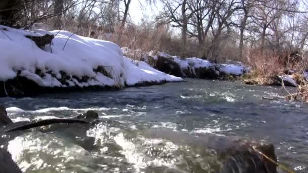 Loop sem costura Snowmelt fluxo de fluxo — Vídeo de Stock