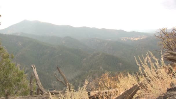 Mlhavé zalesněné Mountain View — Stock video