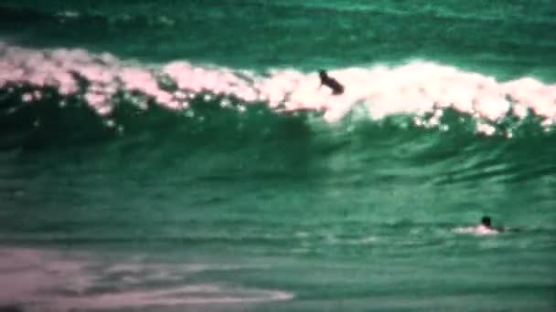 在夏威夷威基基海滩冲浪 — 图库视频影像