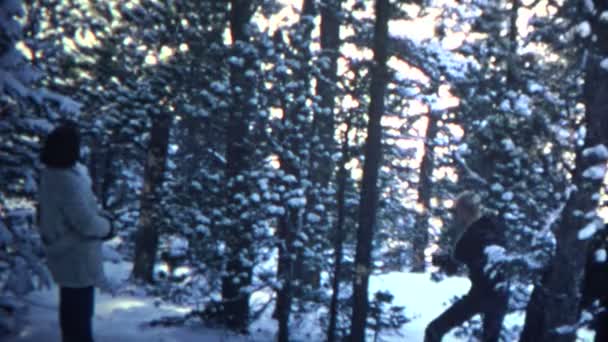 숲에서 나무를 자르는 남자 — 비디오