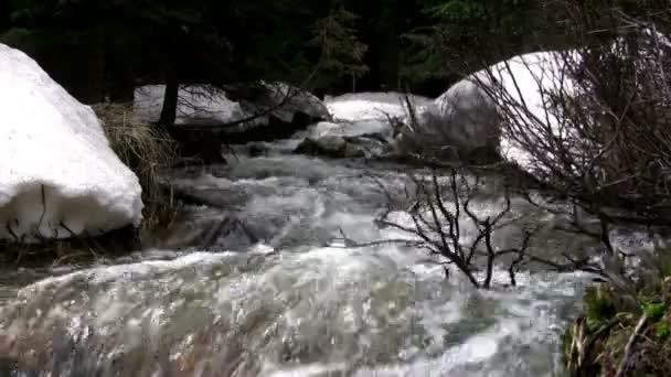 Snowmelt Creek Bancos transbordantes — Vídeo de Stock