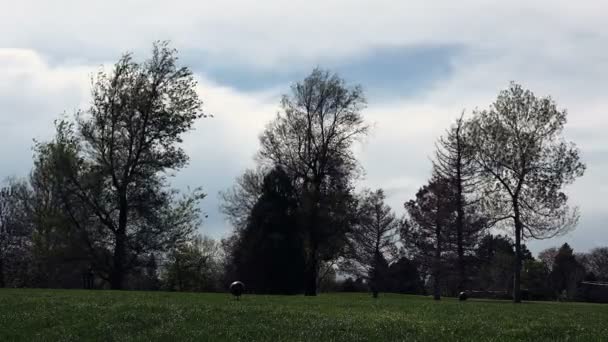 Гольф и темные облака — стоковое видео