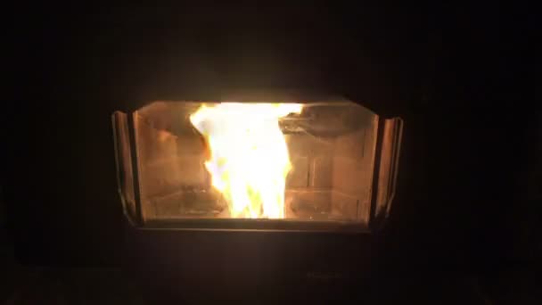 Loderndes Feuer aus Holzpelletofen — Stockvideo