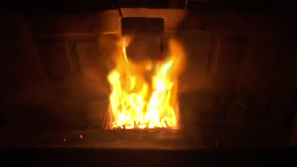 Blazing Fire From Wood Pellet Stove — Stock Video