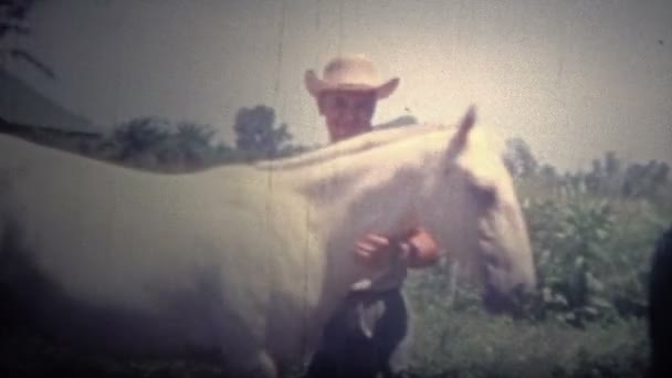 Polizei reitet mit Pferd im Stall — Stockvideo