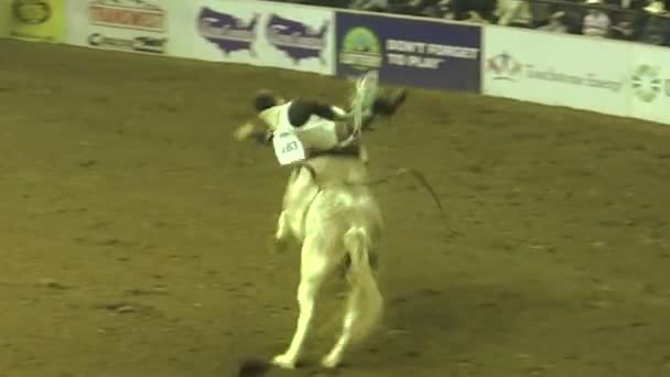 Rodeoreiterin versucht, auf dem Pferd zu bleiben — Stockvideo