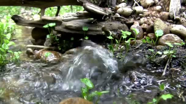 Water Popping Out of Ground — Stock Video