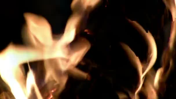 Campfire Log Brændende nærbillede – Stock-video