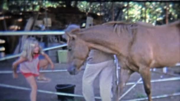 Menina assediada por cavalo, recebe amor de vaca — Vídeo de Stock