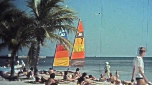 Catamaran sailboats color the beach landscape for tourism rentals — Stock Video
