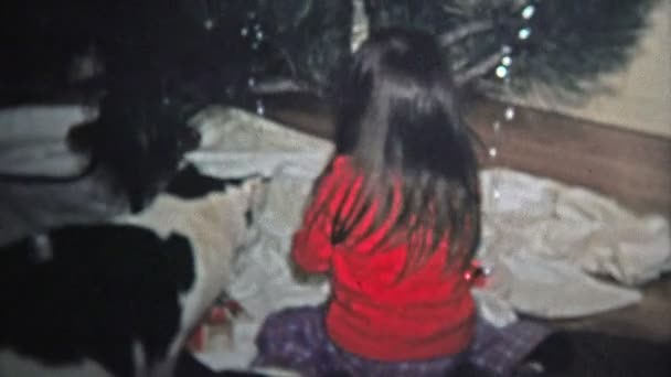 ガラスの装飾品でクリスマスツリーを飾る女の子と猫 — ストック動画