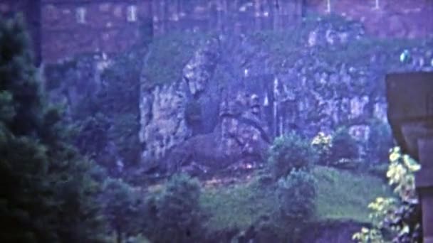 山の側面に彫られたライオン — ストック動画