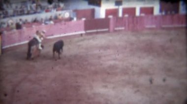 at boğa matador ringde gelen şiddetli darbeler almak