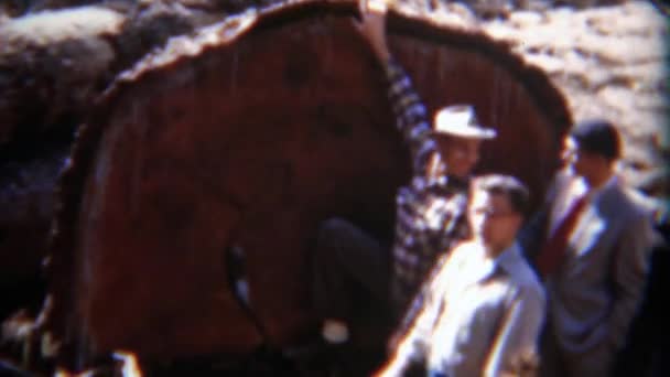 Hombres posando con leñador gigante cortado en árbol — Vídeos de Stock