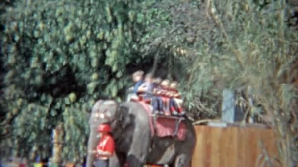 Kids riding elephant — Stock Video