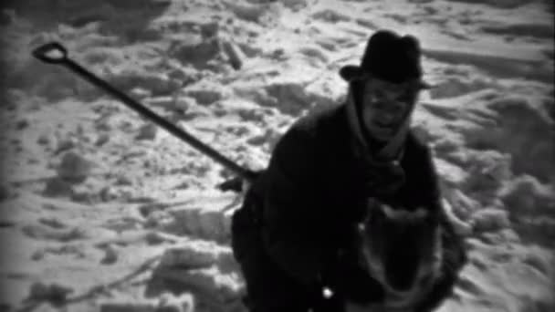 男の冬雪景色で犬の世話 — ストック動画