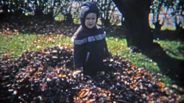 나뭇잎을 긁어 모아 남자 — 비디오