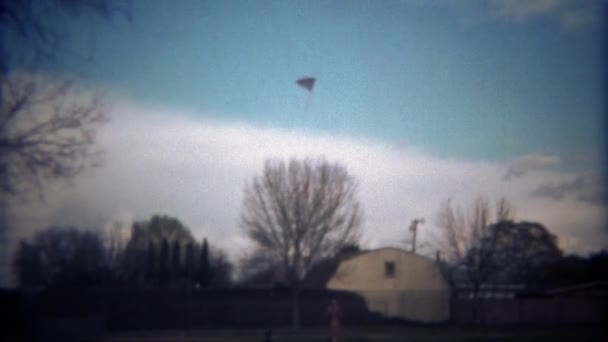父亲和儿子在一起放风筝 — 图库视频影像