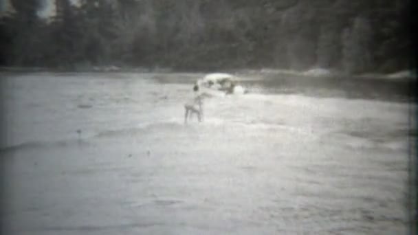 Woman performing waterski trick — Stock Video