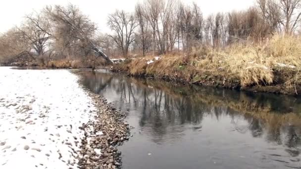 Szybko leciał nad rzeką — Wideo stockowe