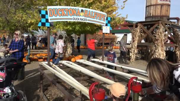 Duckathon halfpipe water pomp spel — Stockvideo