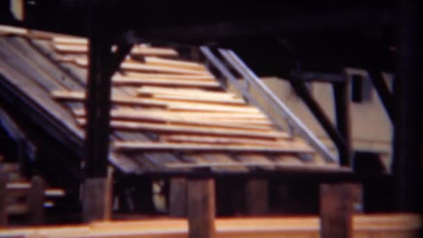 Lumber production board processing plant — Stock Video