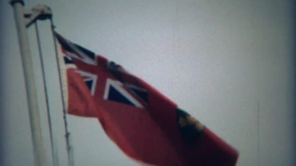Ontario nationella flagga vajande — Stockvideo