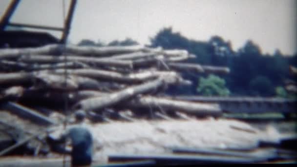 Timber logs splashing water process — Stock Video