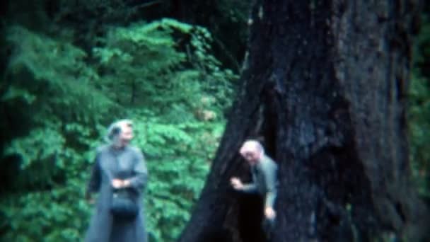 Gente saliendo de un árbol grande — Vídeos de Stock