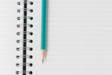 Yüzük defterindeki yeşil kalem.