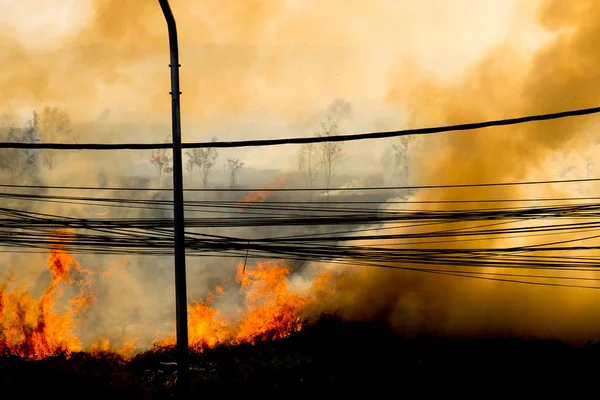 Incendio Forestal Lado Silueta Carretera — Foto de Stock