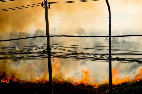 Incendio Forestal Lado Silueta Carretera — Foto de Stock
