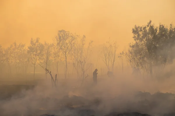 Campo de fumaça e bombeiro após incêndio . — Fotografia de Stock