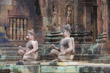 angkor wat tapınağı, siem hasadı, Kamboçya.