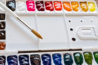 Fırça ve suluboya palet