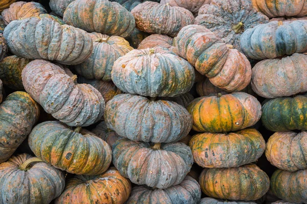 Abóboras no mercado, Tailândia — Fotografia de Stock