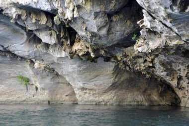The Sea Caves