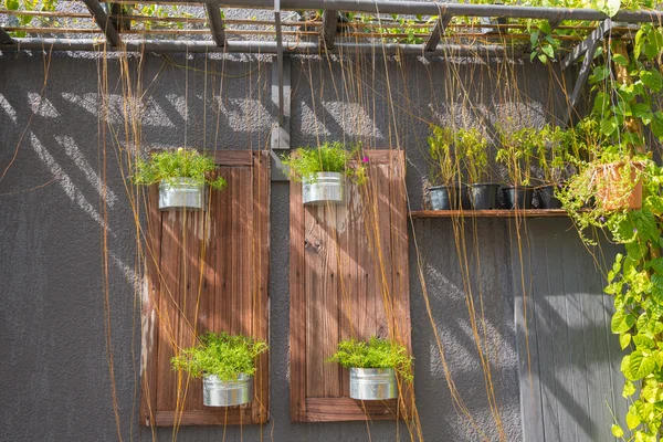 Ventanas de madera con árbol y flor — Foto de Stock