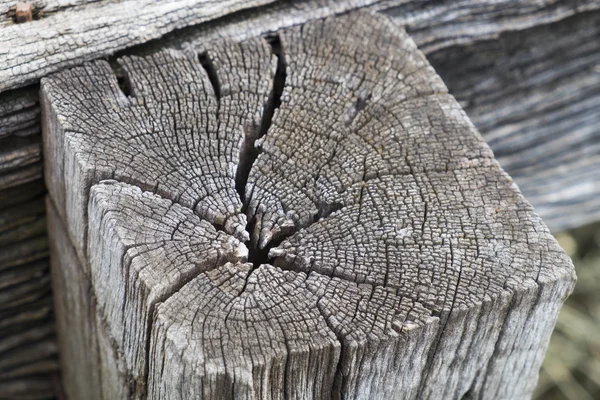 木の質感背景 — ストック写真