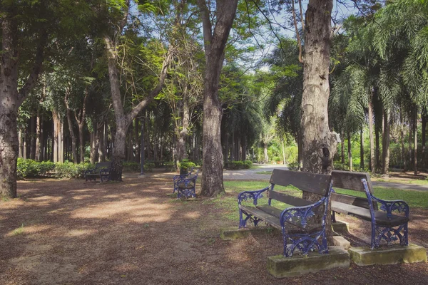 Bench in a green park — Stock Photo, Image