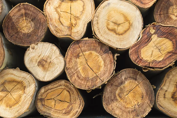 Primer plano de una pila de madera cortada — Foto de Stock