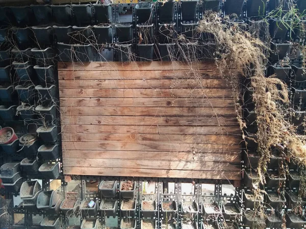 Yazmak için çam ağacından bir tahta dilimi ile mimari kuru ağaç duvarı..