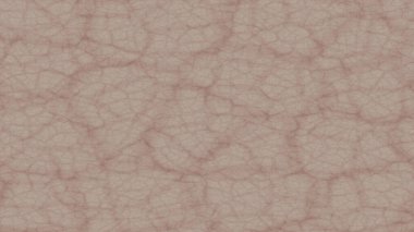 İnsan derisi için süper makro görüntü. Sağlık ve sağlık hizmetleri için makro görüntü.