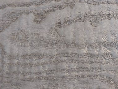 Doğal gümüş sıçrama taze ahşap doku arka planı. İç ve dış imalatçılar için gümüş kaplama fresno kaplama yüzeyi.