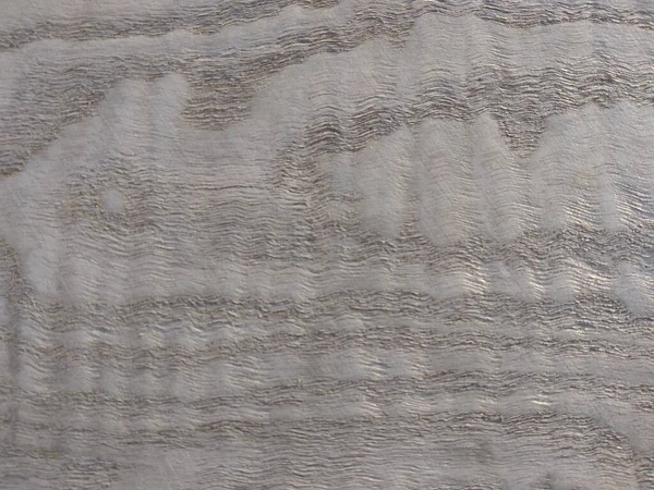 Doğal gümüş sıçrama taze ahşap doku arka planı. İç ve dış imalatçılar için gümüş kaplama fresno kaplama yüzeyi.