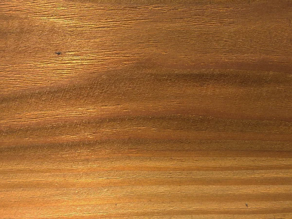 Natural Vintage Larch Wood Texture Background Vintage Larch Veneer Surface — Stock Photo, Image