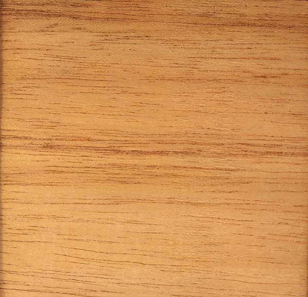 天然金雪松冠切割木质部背景 内外部制造商使用的金雪松冠切割贴面 — 图库照片