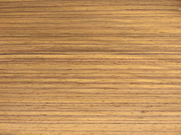 Natural Cp teak wood texture background. Cp teak veneer surface for interior and exterior manufacturers use.