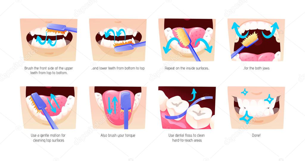Step-by-step scheme, instructions on how to brush your teeth properly. Infographics toothbrush, toothpaste for oral hygiene. Clean healthy, white teeth, healthy lifestyle, dental care cartoon vector