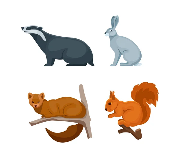 森の動物 かわいい野生の森の動物のバッガー ウサギ 安定したフラット漫画ベクトル — ストックベクタ